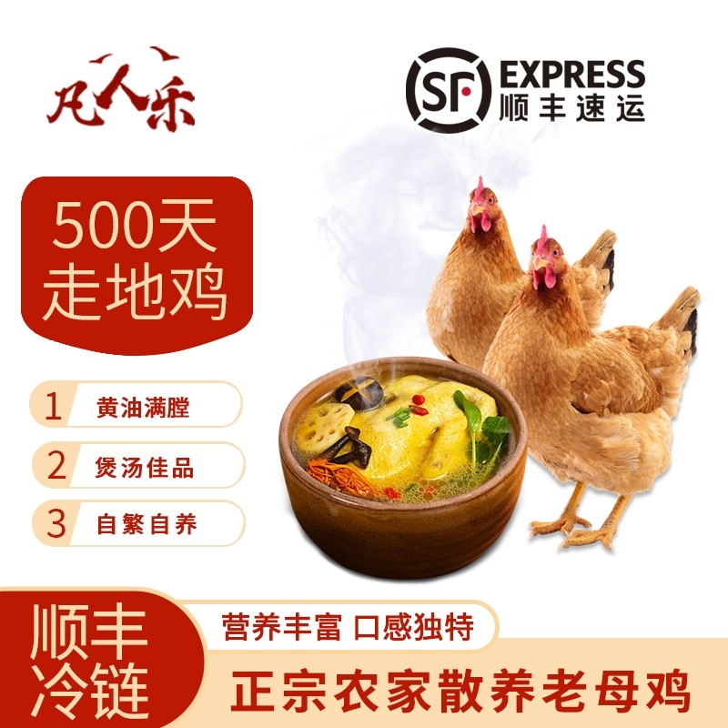 凡人乐 顺丰 散养黄油老母鸡农村土鸡新鲜整鸡带鸡蛋鸡心鸡胗月子,水产肉类/新鲜蔬果/熟食,整鸡/整鸡制品,淘宝优惠券,粉丝福利购,淘宝优惠卷