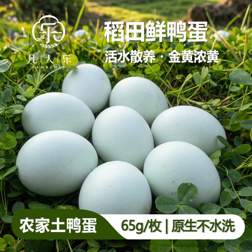凡人乐生鸭蛋63g+ 生态养殖鲜鸭蛋农家散养新鲜鸭蛋土鸭蛋青皮蛋