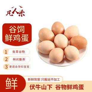 凡人乐鲜鸡蛋谷物鸡蛋初生蛋农家散养新鲜鸡蛋柴鸡蛋虫草蛋月子蛋