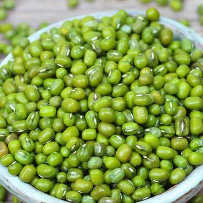 凡人乐新鲜绿豆杂粮煮汤煮粥粗粮绿豆汤新绿豆解暑农家绿豆