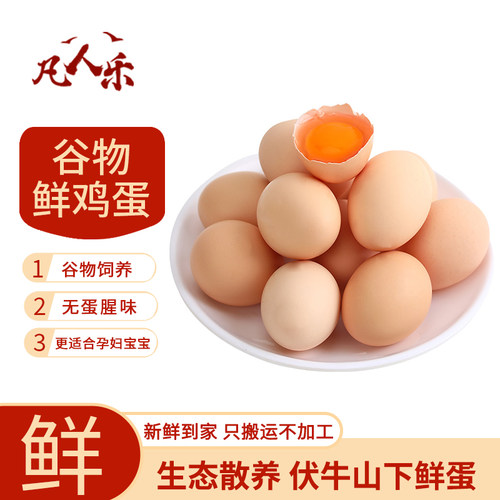 正宗山林散养新鲜土鸡蛋 现捡现发 破损包赔