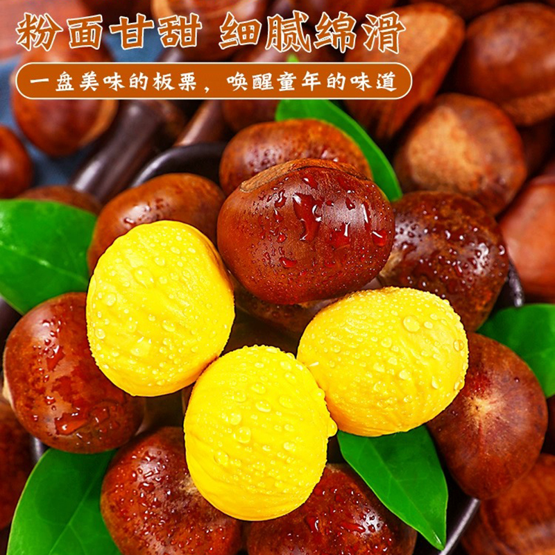 凡人乐新鲜生板栗当季新货毛栗子现摘栗子丹东特产板栗生新鲜