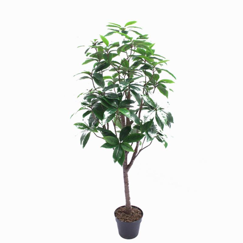仿真植物新木荷迷你小盆栽绿植木荷回树客厅摆放工程装饰厂家