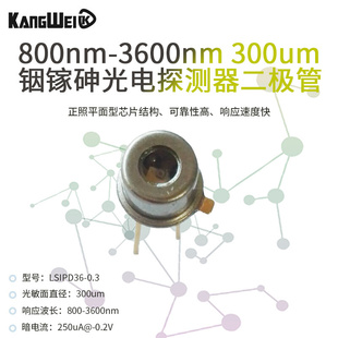 铟镓砷光电探测器二极管 800nm 300um 可带光纤 3600nm 高性价比