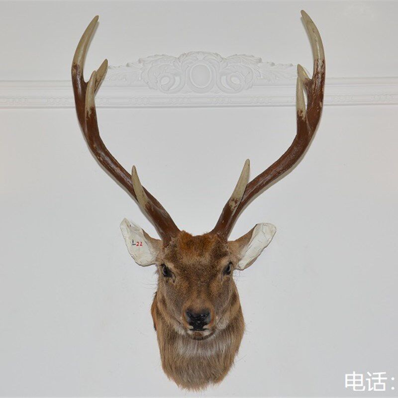 大鹿头标本壁挂L22欧式酒吧KTV墙壁装饰真皮毛头仿真X鹿角生财有