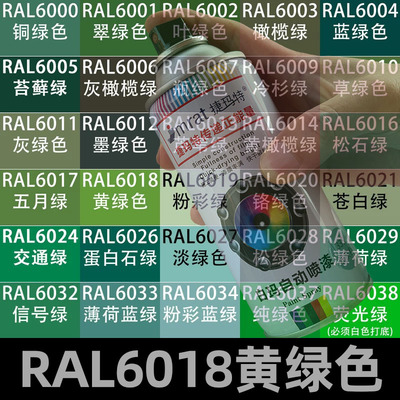 RAL6018黄绿色自动喷漆