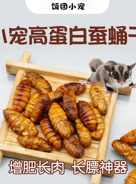 蜜袋鼯专用零食冻干小鼬鼠专用仓鼠蚕蛹冻干花枝鼠刺猬金丝熊粮食