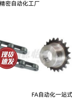 双节距大滚子输送链轮VLP01 11 21-20422052 2062-1011121314-D25