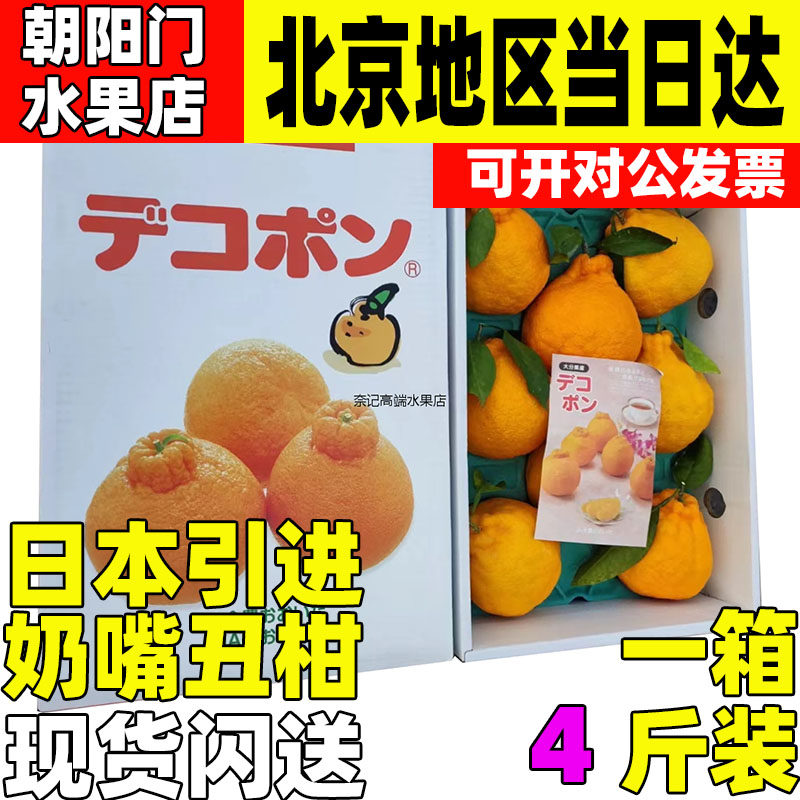 日本引进大分奶嘴丑柑现货大果礼盒丑橘柑橘新鲜水果顺丰空运