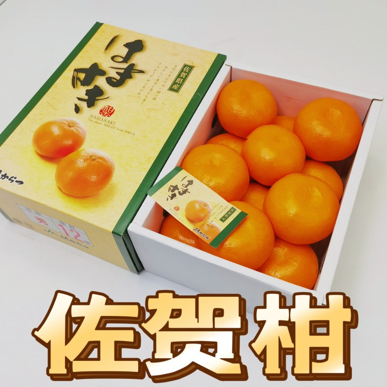 【日菓本菓】佐贺柑当季新鲜水果超甜爆汁薄皮橘子柑橘顺丰