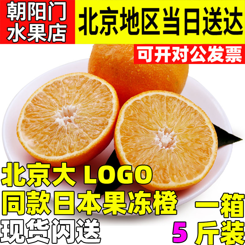 北京三源里大LOGO同款果冻橙子高端水果10个装发顺丰送人水果