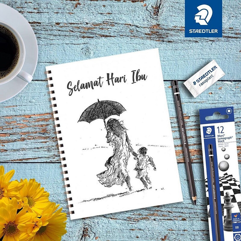 德国staedtler施德楼100b黑杆素描笔绘画不反光炭铅笔2b|4b|6b|8b