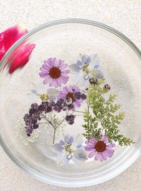 81Pcs Pressed Dried Flowers Set Real Natural Plant Pressed
