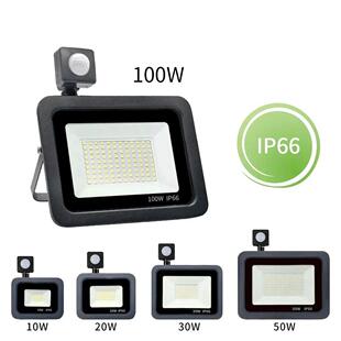 Led Floodlight Outdoor 220V Projector Lamp Led Spotlight Wit