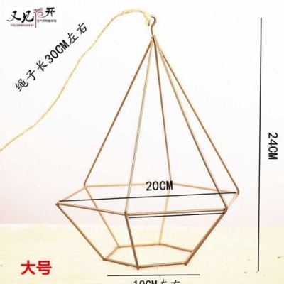 促空气凤梨 无土植物 配件花架花器六角铁架大号空凤用新