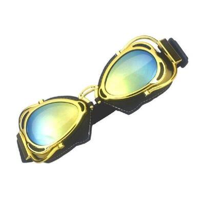 Motorcycle Ridings Glasses Padded Goggles Eye Protections
