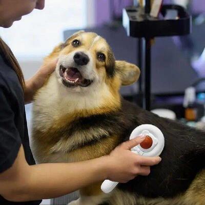 Pet Hair Removal Comb Electric Cat Nail Grinder Low Noise
