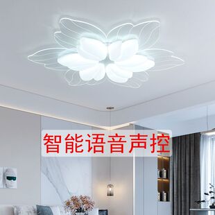 智能语音声控灯主卧室灯led吸顶灯具客厅灯2023新款 简约现代灯饰