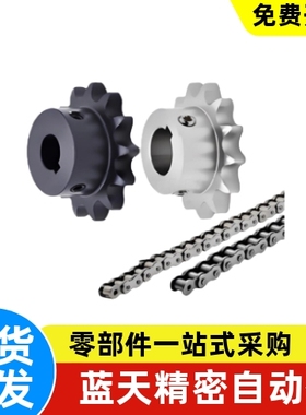 VLF02/11-40 VMF01/21/03-40-10-11链轮链条40系列08A