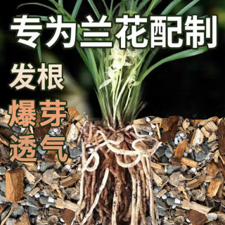 兰花专用土营养土墨兰建兰蝴蝶兰君子兰植料土壤种植土疏松透气