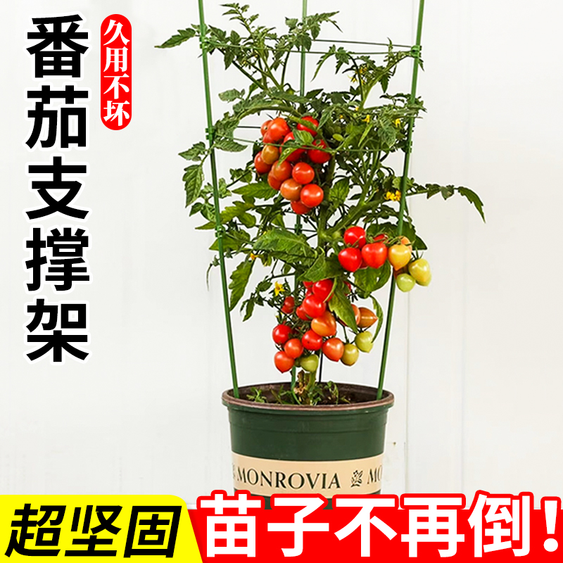 番茄支撑架西红柿蔬菜爬藤架