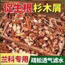 兰花种植专用土杉木屑天然植料树皮覆盖物营养土种花土壤植物通用