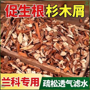 兰花种植专用土杉木屑天然植料树皮覆盖物营养土种花土壤植物通用