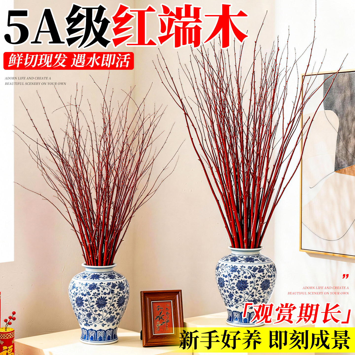 红瑞木枝条植物干枝银柳鲜枝真花水培桃红花材柳枝红色小苗鲜花,鲜花速递/花卉仿真/绿植园艺,红掌/凤梨/温室花卉,淘宝优惠券,粉丝福利购,淘宝优惠卷