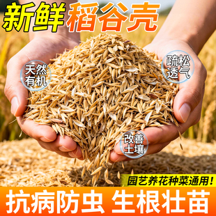 稻谷壳发酵垫料新鲜稻壳腐熟粗糠覆盖物种菜颗粒改良土壤植物通用