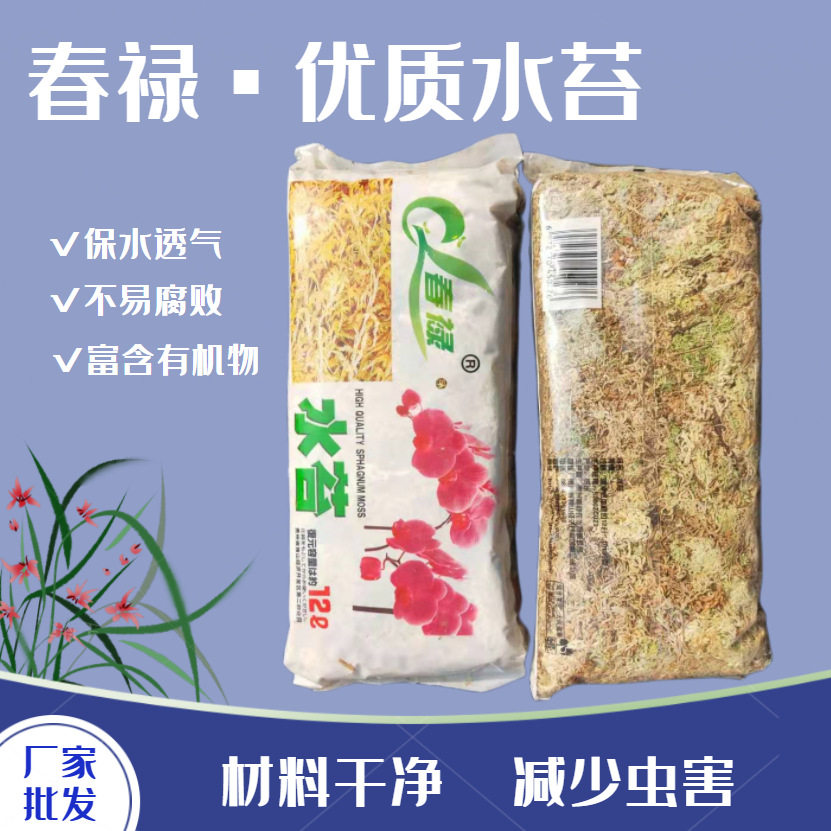水苔蝴蝶兰专用土换盆优质干营养