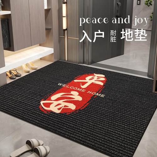 2025年新款轻奢入户门地垫进门