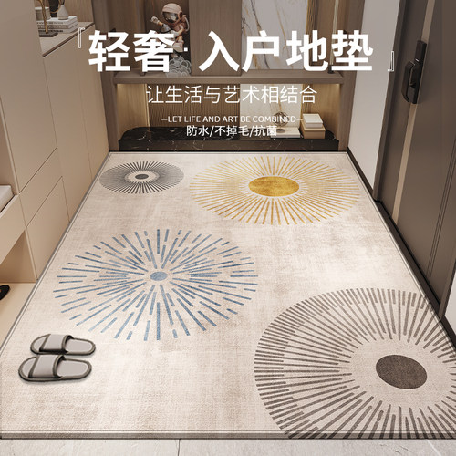 高级感入户门地垫室内2026新款