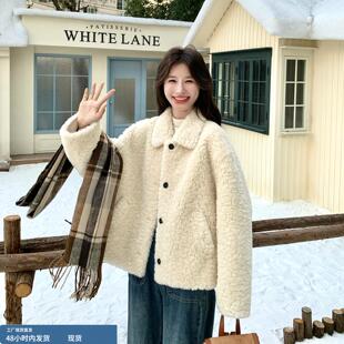 毛绒绒奶fufu的羊羔毛外套女秋冬季2025新款短款加厚保暖休闲大衣