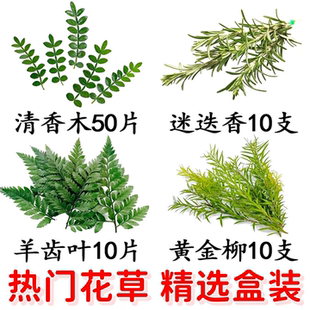 网红蛋糕烘焙甜品台鸡尾酒点缀叶子酒店西餐日料刺身摆盘装饰花草