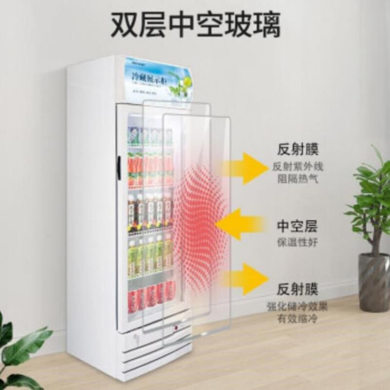 雪村酒吧酒水柜玻璃门饮料柜 商用保鲜冰柜超市 立式双.门三门冰