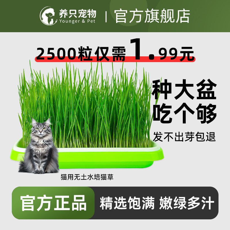 猫草盆栽小麦水培猫草兔草懒人猫草罐头毛球片化毛草零食猫咪用品,宠物/宠物食品及用品,猫草/猫草片,淘宝优惠券,粉丝福利购,淘宝优惠卷