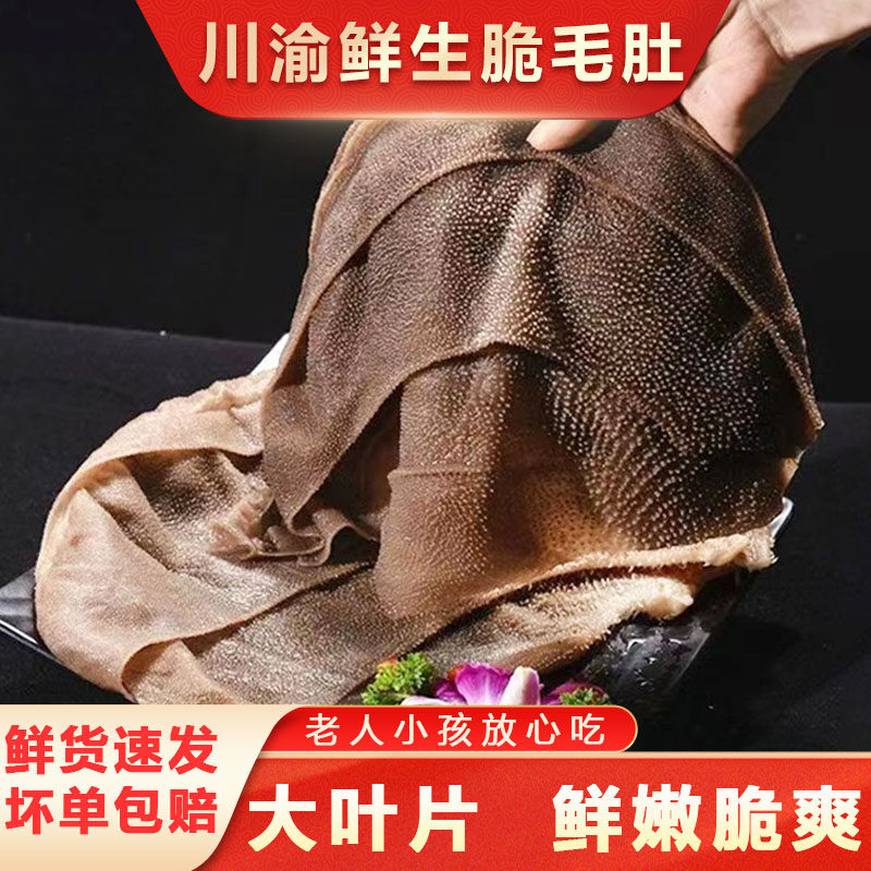 毛肚新鲜火锅脆毛肚麻油毛肚四川重新火锅专用大叶片爽脆毛肚