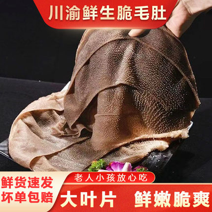 毛肚新鲜火锅脆毛肚麻油毛肚四川重新火锅专用大叶片爽脆毛肚
