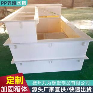 pp塑料板焊接水箱来图定制加厚防腐酸洗槽过滤池鱼箱pp托盘水槽