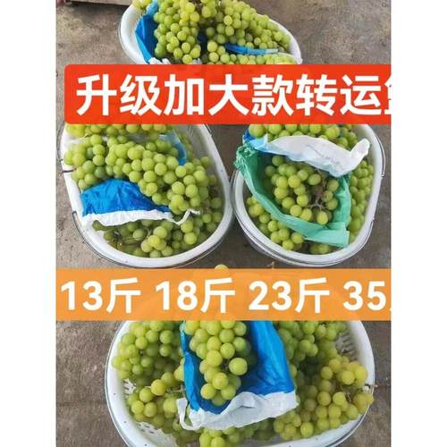 大号水果采摘篮手提葡萄桃子枇杷篮转运框白色10/15/20/30斤耐摔