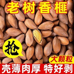 2025年新货香榧袋装绍兴诸暨枫桥年货香菲干果香榧子坚果