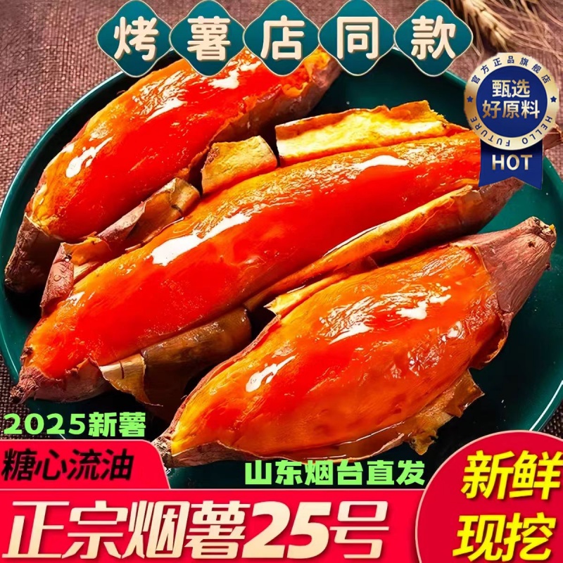 【农科院】山东烟薯25号蜜薯糖心