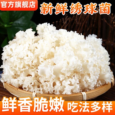 绣球菌乾货官方旗舰店孕妇可吃口感脆爽凉拌煲汤火锅新鲜食用菌菇