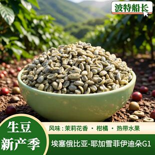 波特船长2025新季产咖啡生豆埃塞俄比亚耶加雪菲水洗G1伊迪朵咖啡