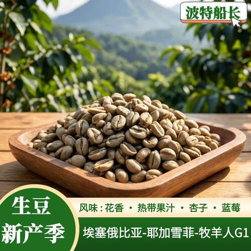 埃塞俄比亚耶加雪菲牧羊人G1日晒