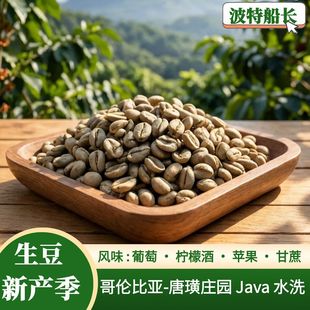 BoteCaptain/波特船长2025新产季哥伦比亚-唐璜庄园Java水洗生豆