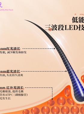 跨境新款红蓝光生发仪防脱养发生发帽激光护发毛囊护理增发理疗帽