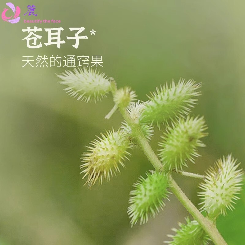 祥医堂苍耳子油棉棒现货鼻塞鼻痒鼻通滴鼻舒液精油便携棉签型
