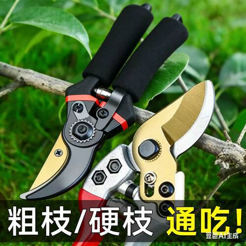 园林剪刀果树剪刀粗大花剪