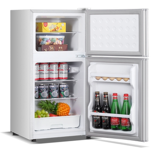 先科一级能效小冰箱家用小型宿舍租房用迷你省电办公室双门电冰箱